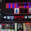 잠실 회식장소 찾는다면 일미양다리꼬치 양꼬치 맛집 후기