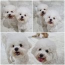 멈무유치원 이미지