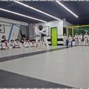 용인대멋진태권도 이미지