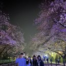 진해로약국 네이버블로그