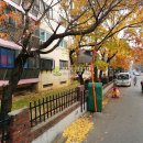 원종로9번길 이미지