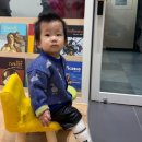 마이리틀피아노음악교습소 | 동탄 아기랑 가볼만한곳 17개월 아기도 만족한 마이리틀클래식 영유아클래식공연 내돈내산 후기