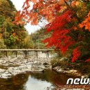 국립공원 단풍길 10선 이미지