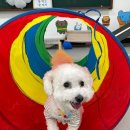 조규만외과동물병원 이미지