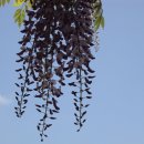 김해중학교 이미지