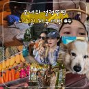 (주)타이어여행 | 모녀의 얼렁뚱땅 [무계획 나트랑 자유여행] #4 (내돈내산) + 황당 그랩 사건