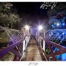 주홍산장식당 이미지