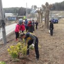 득량서초등학교 이미지