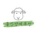 법인울산양떼목장