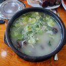 지애약국 이미지