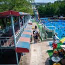 삼풍농장 이미지