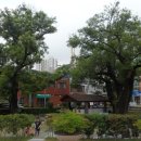 괴정1동-5 이미지