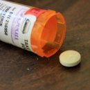 온새동물의료센터 이미지