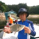 효촌낚시터 이미지