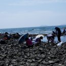 곰섬해수욕장 이미지