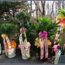 도봉실버센터 이미지