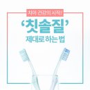 치아 건강의 시작, ‘칫솔질’ 제대로 하는 법 이미지