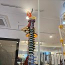 주식회사 론픽 이미지