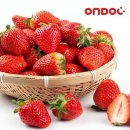 건양유통 이미지