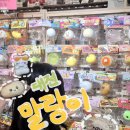 댕댕부티크 | 대전 말랑이 왁뿌볼 천국 : 대전 지하상가 말랑이 투어