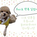 네네살롱 이미지