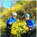 광명대교 이미지