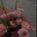 Image-回歸 이미지