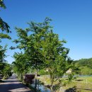 위크팜글램핑 이미지