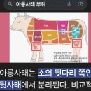 아롱사태. 부위. 삶아서 얆게 절며썰기 초간장 와사비 이미지