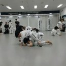 리버스주짓수킥복싱 이미지