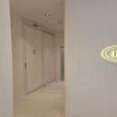 분당-146 이미지