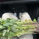 영기농장 이미지