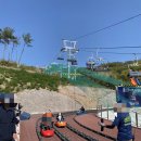 감나무목장 이미지