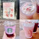 스타벅스 제물포역DT점 | 스타벅스 체리블라썸 백도 크림 프라푸치노 복숭아 피치 신상 음료 md 후기