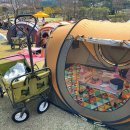 스마일게임존 | 여의도 한강 텐트 대여 | 스마일 피크닉 가성비 대여 업체 추천 내돈내산