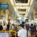 협재올레 이미지