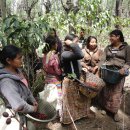 웅지농장 이미지