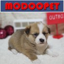 모두와샵 이미지