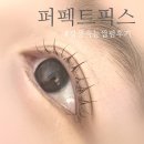 이마트24  강릉 포남점 | 강릉 속눈썹] 퍼펙트픽스