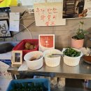 부강로또 이미지