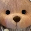 예담뷰티