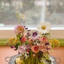 본이데블룸