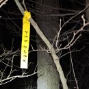 솔향기 힐링 하우스 이미지