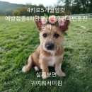 마월1리마을회관 이미지