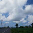 인생밥집 이미지