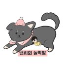동동공원 아이나래 공원 | 여수 강아지 산책하기 좋은 곳 소호동동다리