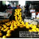 선비골농장 이미지