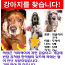 성북동5 Daum카페
