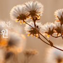 인천근로자문화센터 이미지