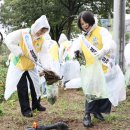 대구자원환경 이미지